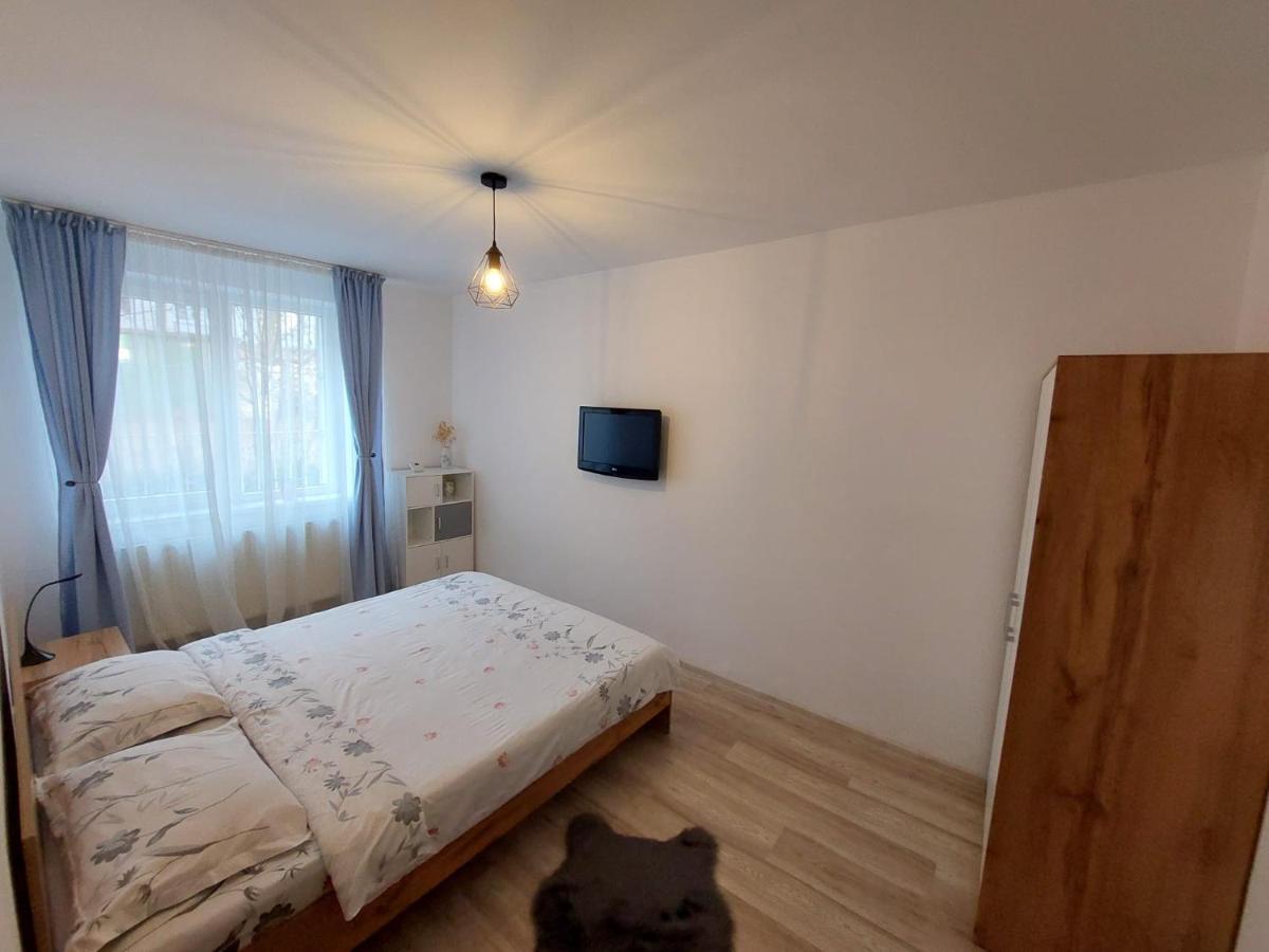 Youth Central Apartment Marosvásárhely Kültér fotó