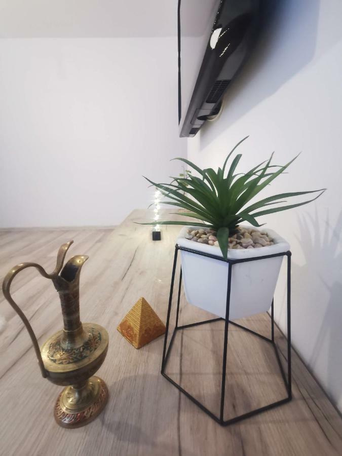 Youth Central Apartment Marosvásárhely Kültér fotó